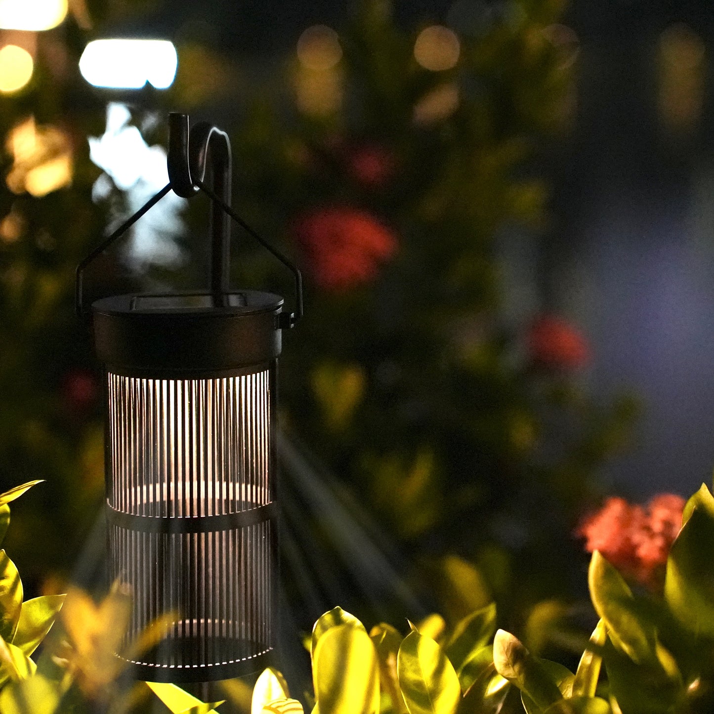 Solar Shepherd Hook Path Light